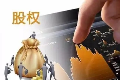 公司股权