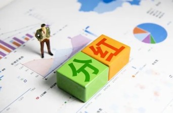 股东分红形式